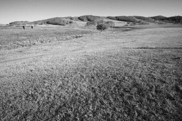 2011-10-03 15-50-51.JPG