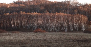 2011-10-03 17-36-37_116.JPG