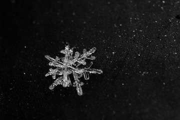 _MG_9208.JPG