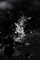 _MG_9205.JPG