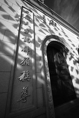 IMG_7400.JPG