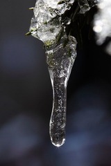 _MG_0724_2.JPG