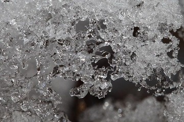 _MG_0731_2.JPG