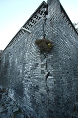 IMG_8660.JPG
