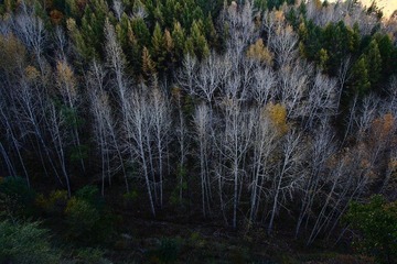 IMG_8693.JPG