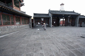 调整大小 IMG_8628.JPG