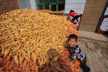 IMG_8819.JPG