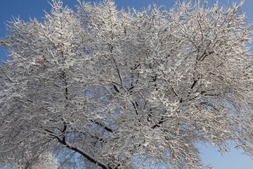 IMG_9195.JPG