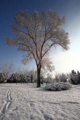 IMG_9197.JPG