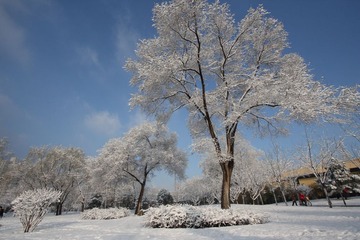 IMG_9198.JPG