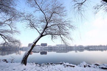 IMG_9226.JPG