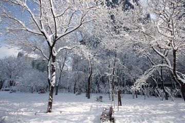 IMG_9267.JPG