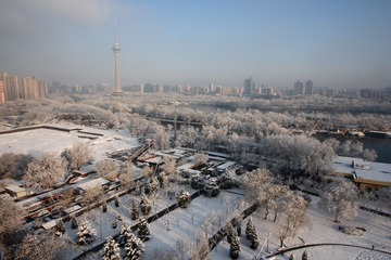 IMG_9172.JPG
