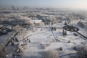 IMG_9187.JPG