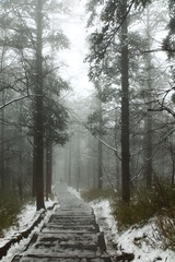 _MG_9564.JPG