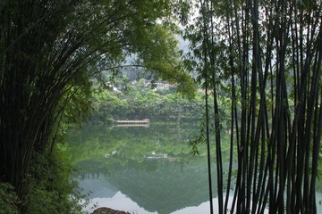 _MG_9582.JPG