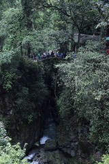 _MG_9596.JPG