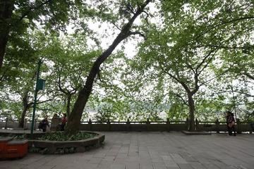IMG_9695.JPG