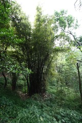IMG_9706.JPG