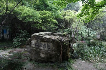 IMG_9697.JPG
