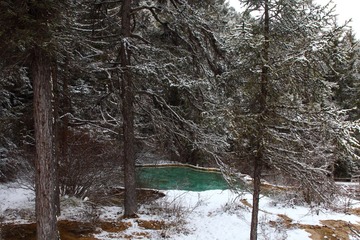 _MG_9844.JPG