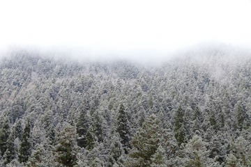_MG_9857.JPG