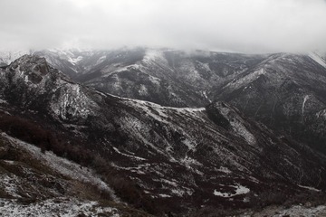 _MG_9805.JPG