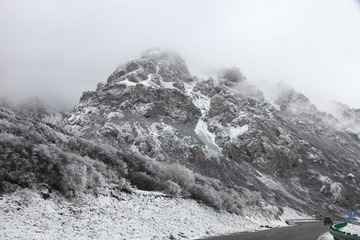 _MG_9820.JPG