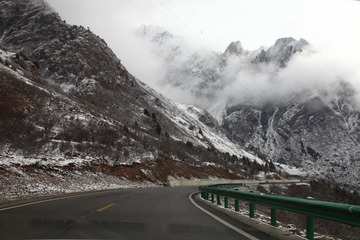 _MG_9831.JPG