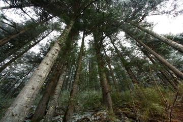 IMG_9786.JPG