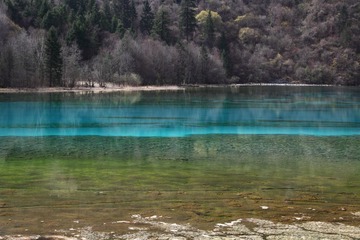 _MG_0043.JPG