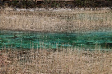 _MG_0385.JPG