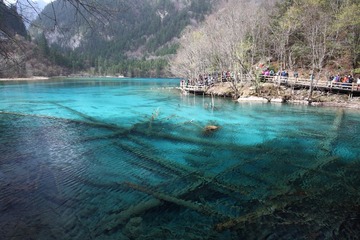 IMG_0008.JPG