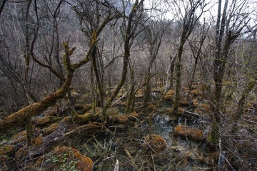 IMG_9933.JPG
