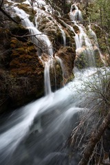 IMG_0056.JPG