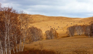 _MG_6839.jpg
