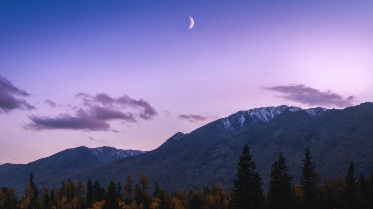 一轮紫月一抹流云7878