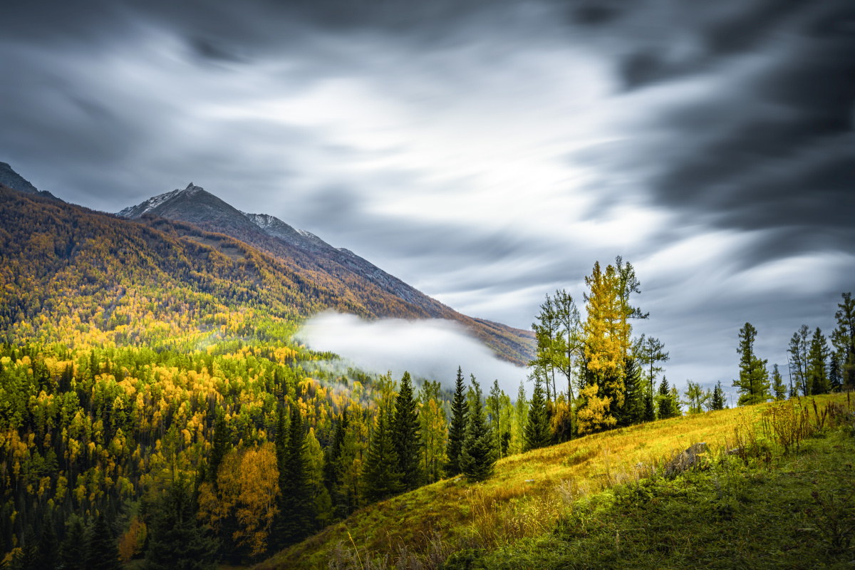 一轮紫月一抹流云7878