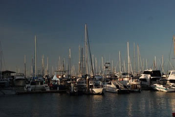 DSC_1502.JPG