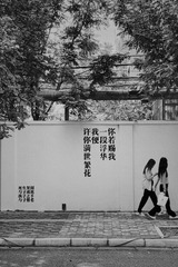 8C2B2424-5837-4FC1-B1B7-3FB2D34D819D/L0/001