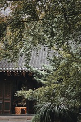 BFE2F337-78FD-4195-9838-D404975F4DD8/L0/001