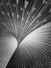 B936562B-1C77-4D7C-93B0-671E4388D861/L0/001