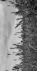17052DB8-066E-48CE-BDB6-2481C1DF7225/L0/001