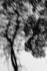 DPP_0090.JPG