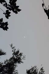 DPP_0069.JPG