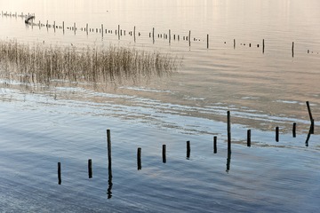 DPP_0065.JPG