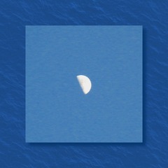 1255044