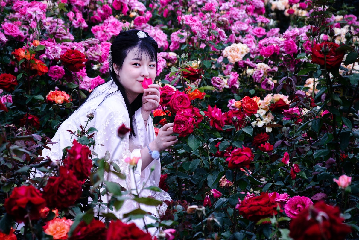 她在花丛中