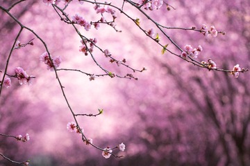 E84D2B19-D5CD-4442-A419-5EDEC9F78C4A/L0/001
