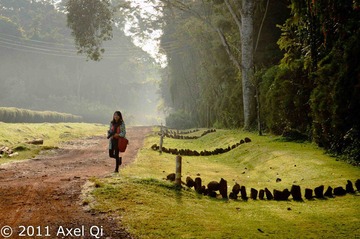 20110925-_AXL9849.jpg